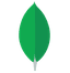 Mongodb
